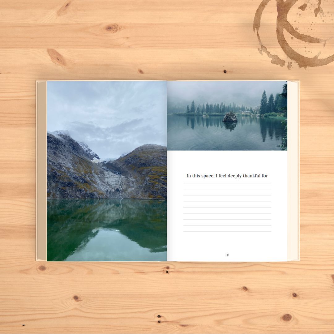 Pathways Through Adversity: A Visitor's Logbook of Healing Experiences