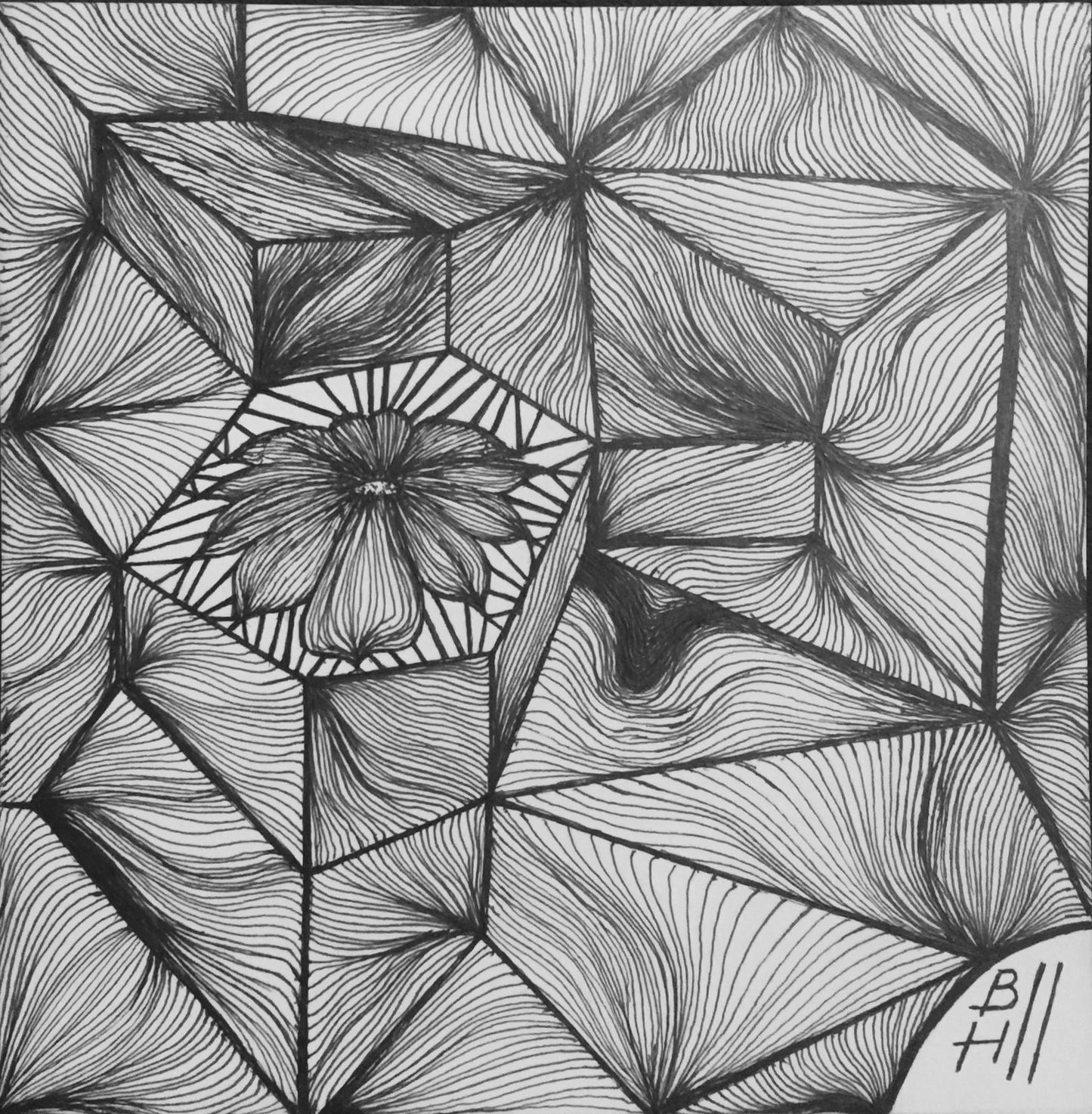 Flower in Isolation (Print)